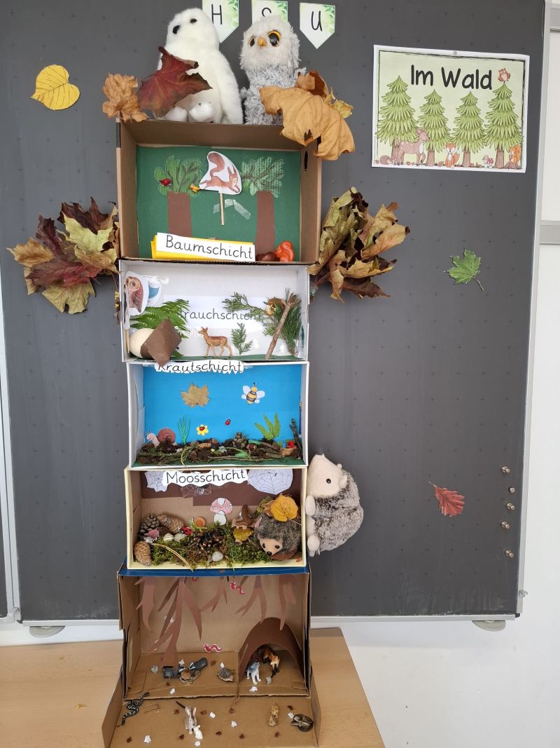 Der Wald im Schuhkarton – ein HSU-Projekt der 3. Klassen